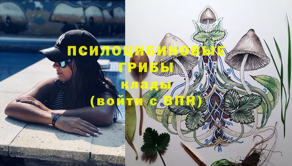 мет Пестово